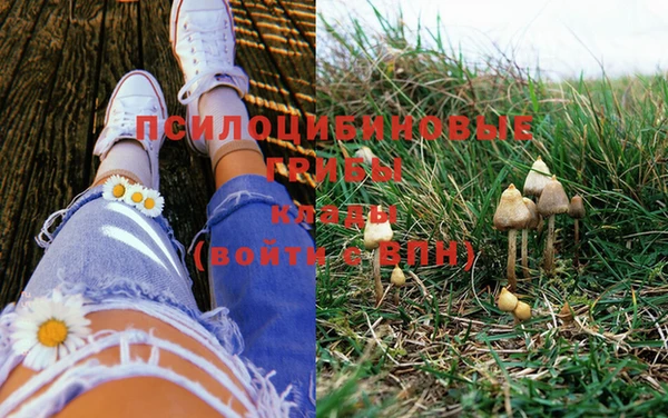 PSILOCYBIN Россошь