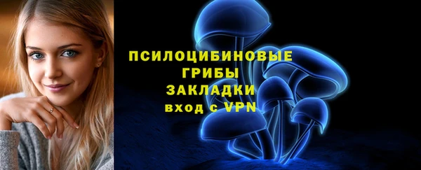 таблы Рославль