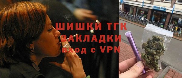 гашик Алексеевка