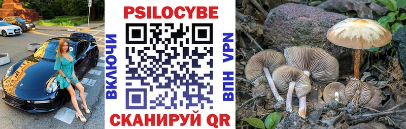 Псилоцибиновые грибы прущие грибы как найти наркотики Коряжма