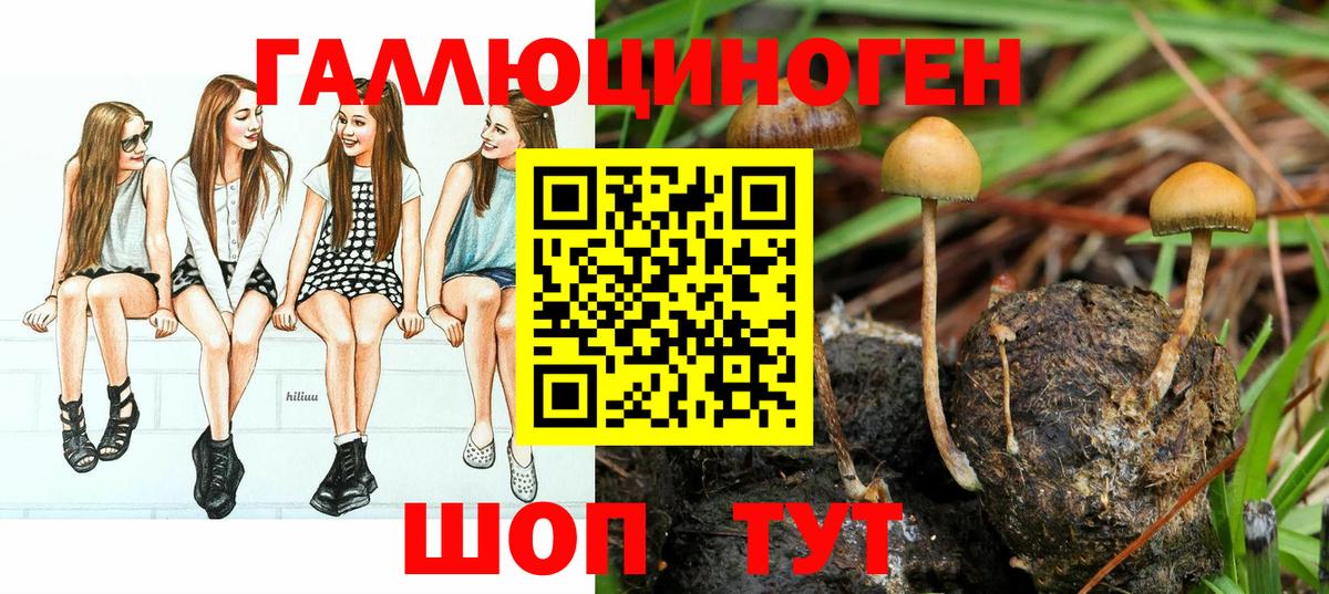 магазин продажи   Псилоцибиновые грибы Psilocybine cubensis  Коряжма  Вход с VPN  Псилоцибиновые грибы Magic Shrooms 